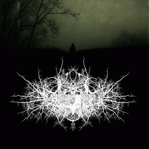 A Cloud Forest : Unreleased